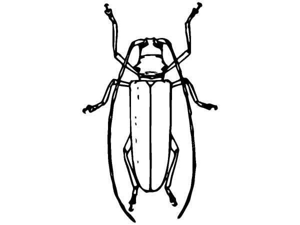 Животные 852