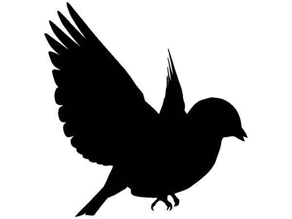 Животные 2316 Животные 2316