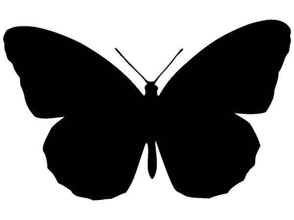 Животные 3950 Животные 3950