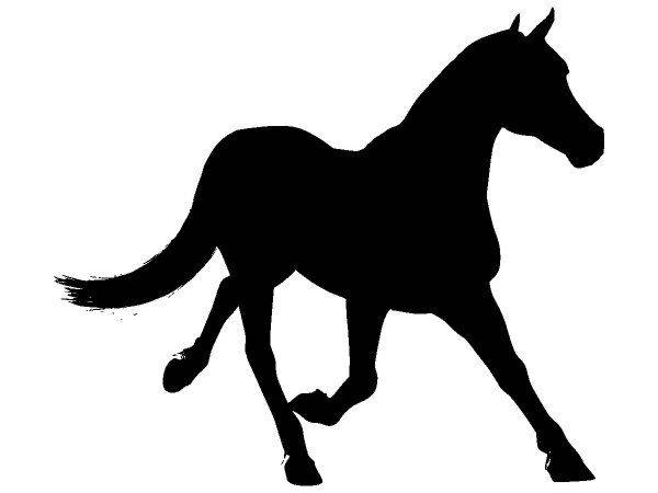 Животные 4009