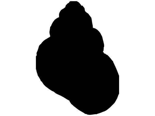 Животные 3771 Животные 3771