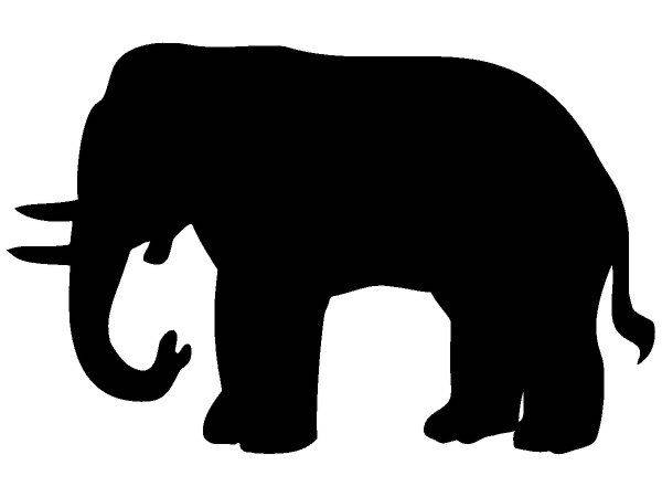 Животные 3681