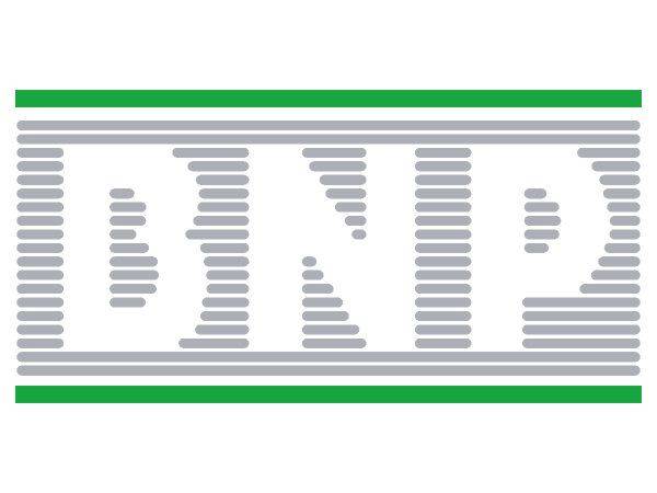 BNP logo