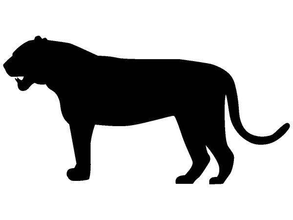 Животные 3102 Животные 3102