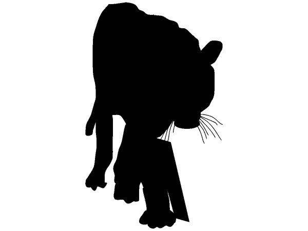 Животные 552 Животные 552