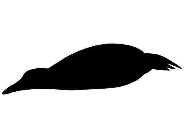 Животные 2379