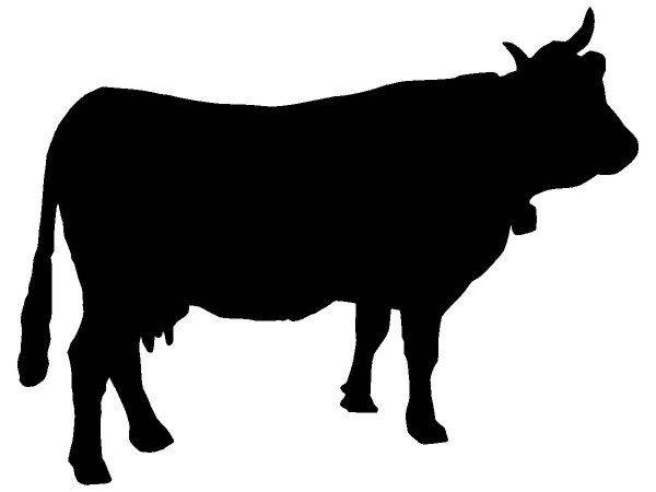 Животные 1164