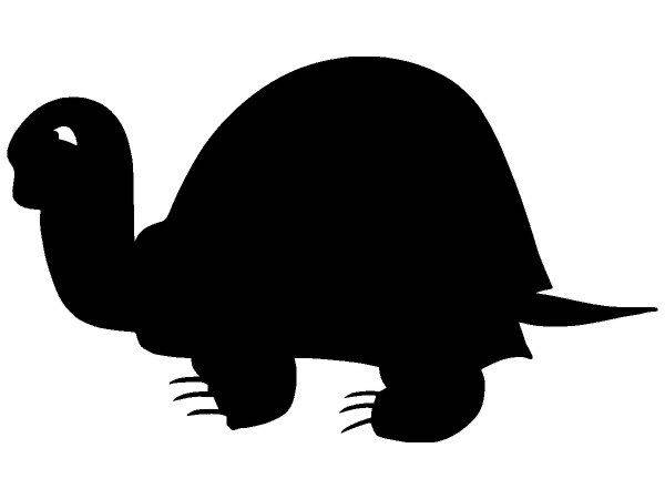 Животные 2369