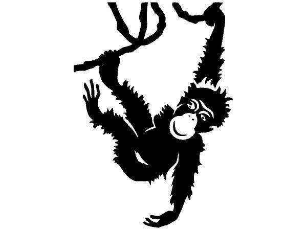 Животные 2353