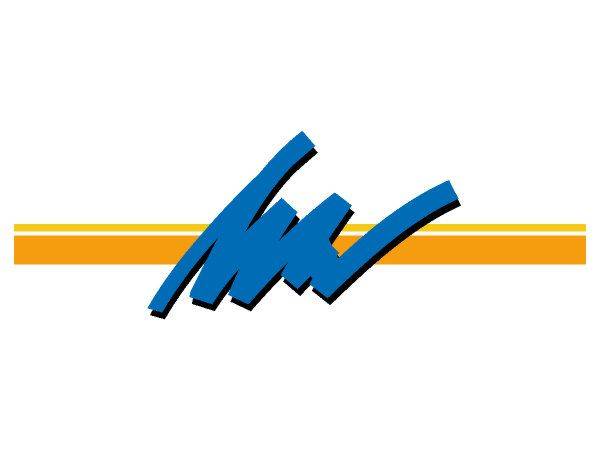 Виниловая наклейка на авто 264