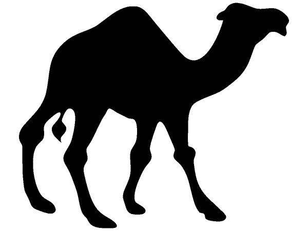 Животные 559 Животные 559