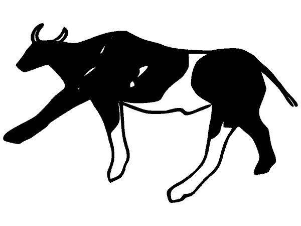 Животные 2602