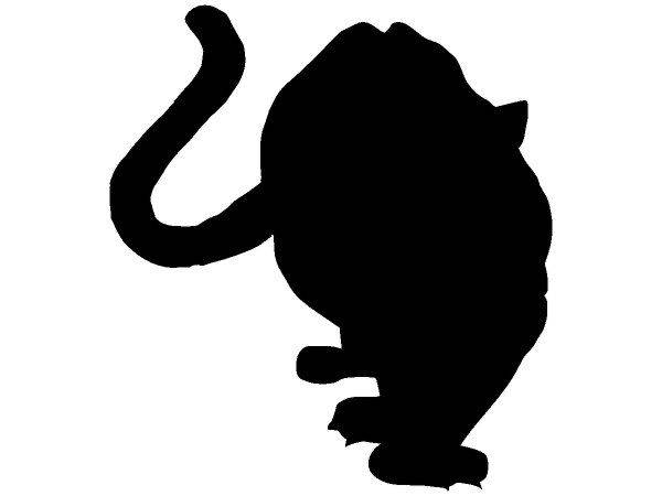 Животные 641