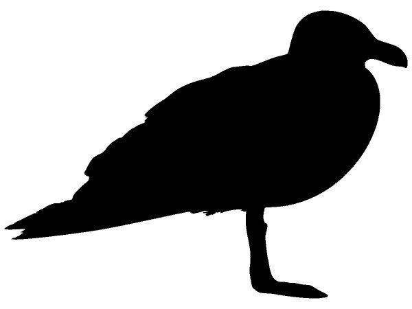 Животные 3377 Животные 3377