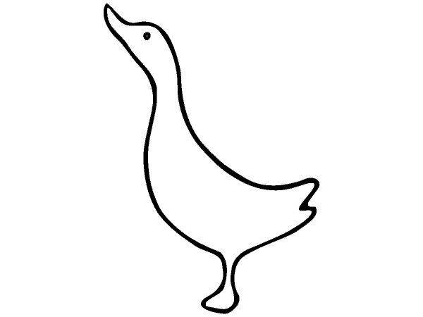 Животные 1210