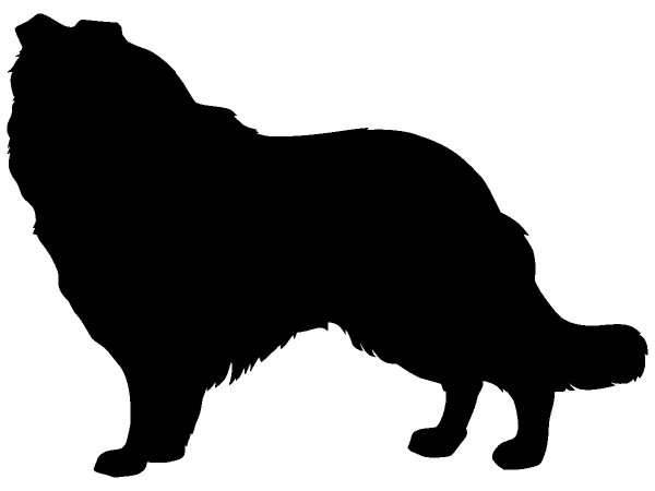 Животные 411