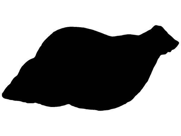 Животные 3768