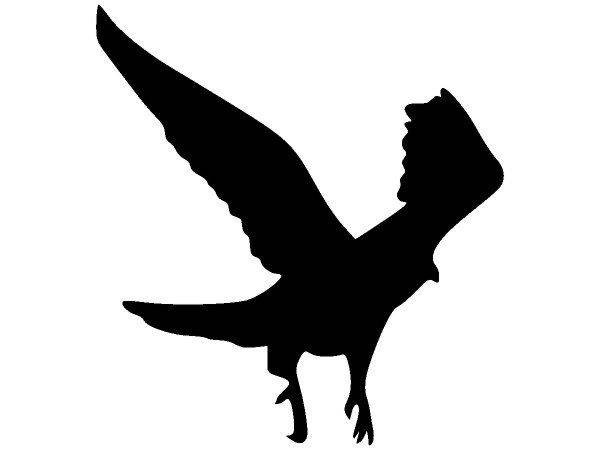 Животные 1576 Животные 1576