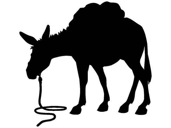 Животные 683 Животные 683