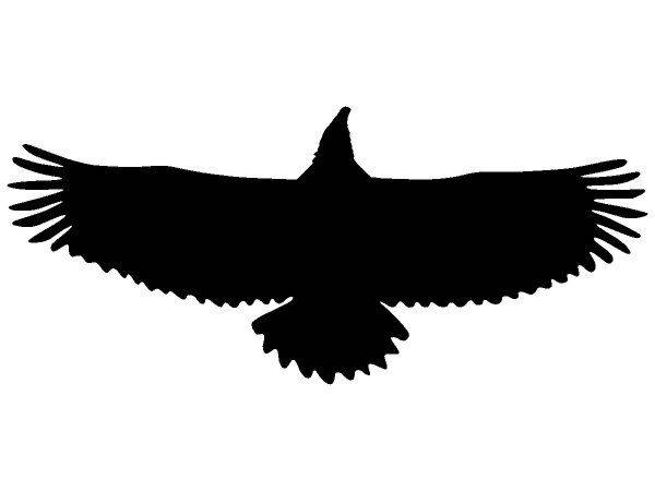 Животные 4315 Животные 4315