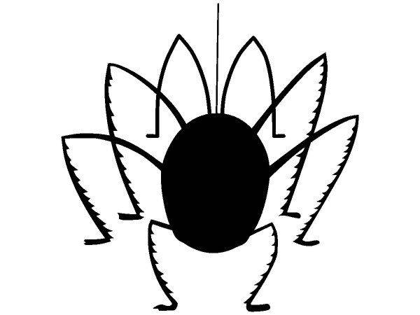 Животные 1227 Животные 1227