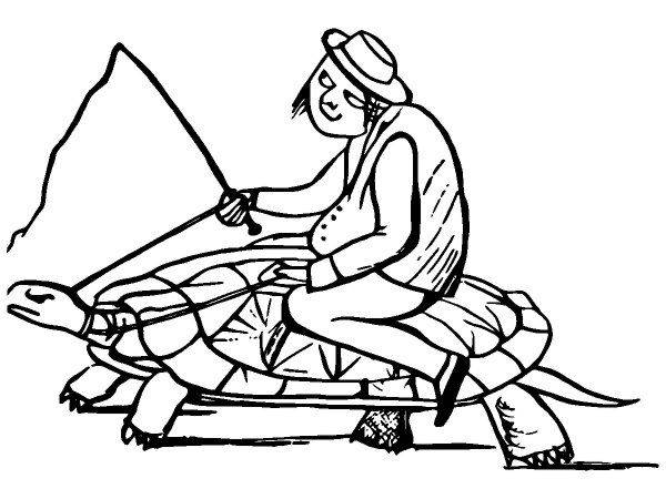 Животные 3434 Животные 3434