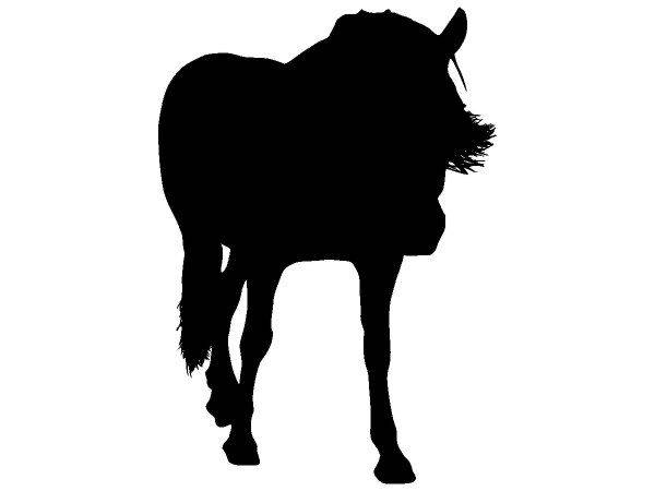 Животные 4243