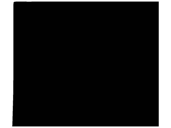 Животные 538 Животные 538