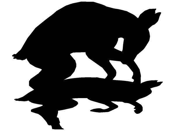 Животные 442