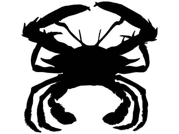 Животные 2755