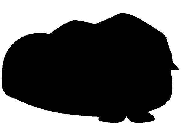 Животные 1552