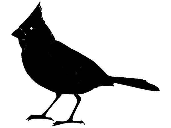 Животные 1183