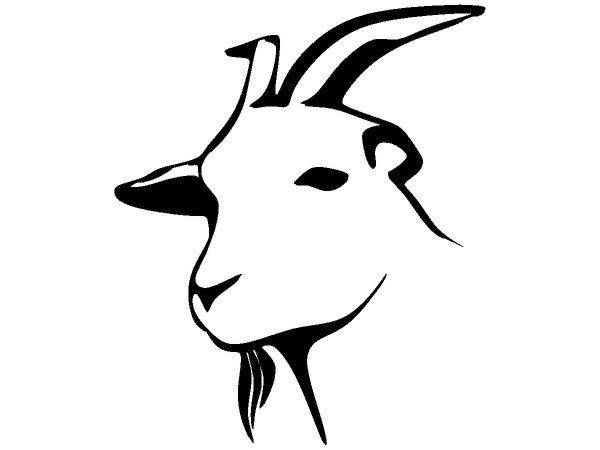 Животные 3205