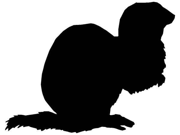 Животные 202