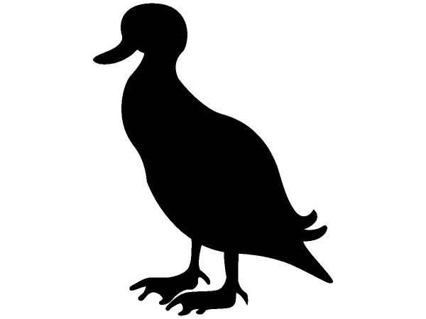 Животные 223