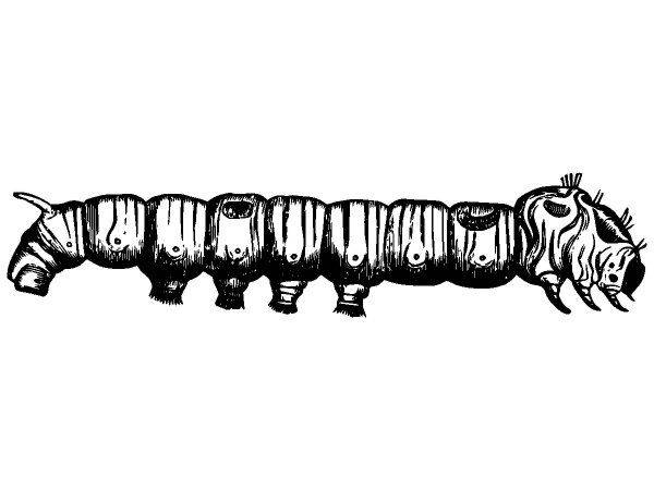 Животные 2846