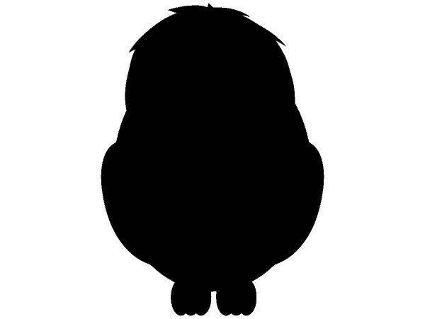 Животные 1297