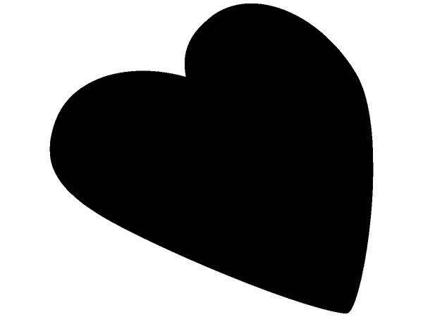 Животные 1381