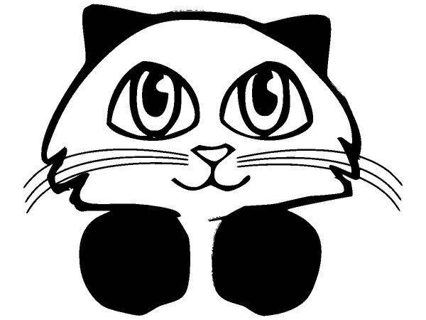 Животные 2769