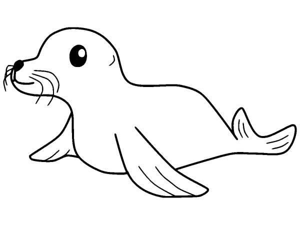 Животные 1166