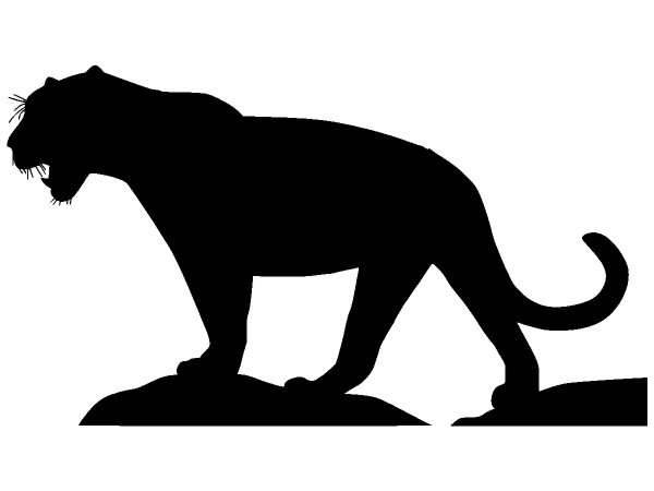 Животные 147