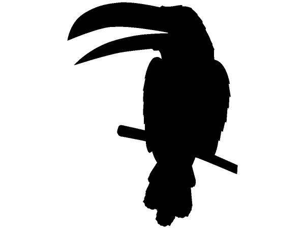 Животные 1177