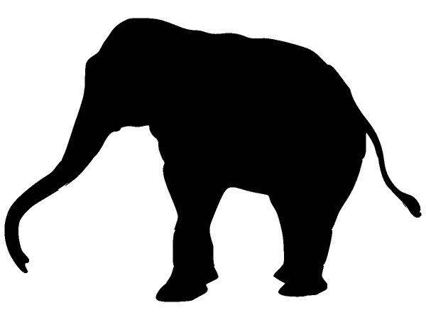 Животные 584 Животные 584