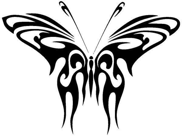 Животные 2568