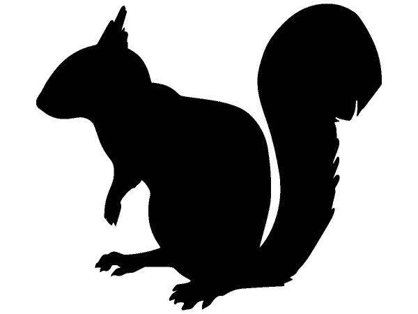 Животные 3260 Животные 3260