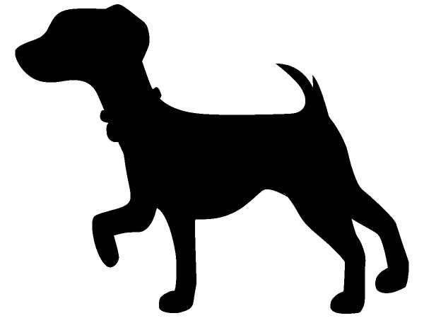 Животные 1151