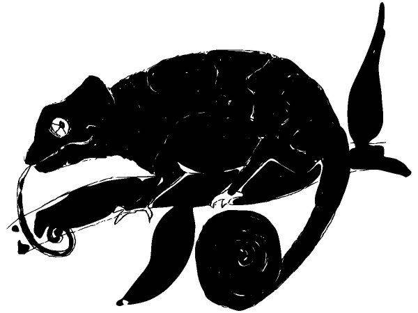 Животные 2325 Животные 2325