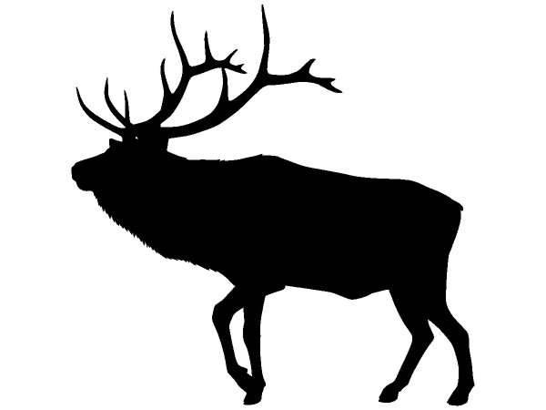 Животные 407