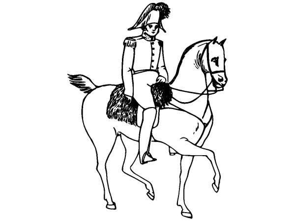 Животные 1239