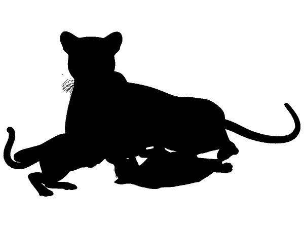 Животные 4005